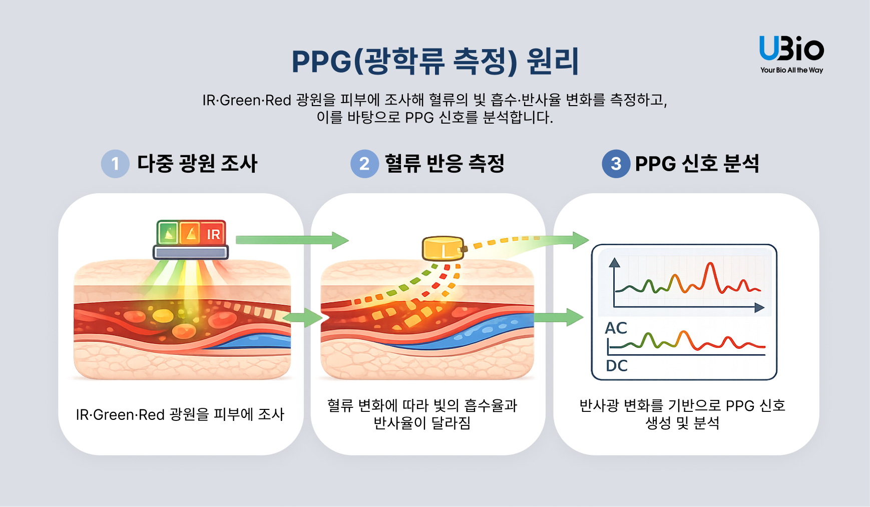 08 PPG 원리 1